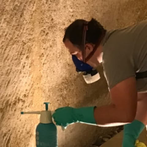 Restauration et Entretien de vos sols en pierre