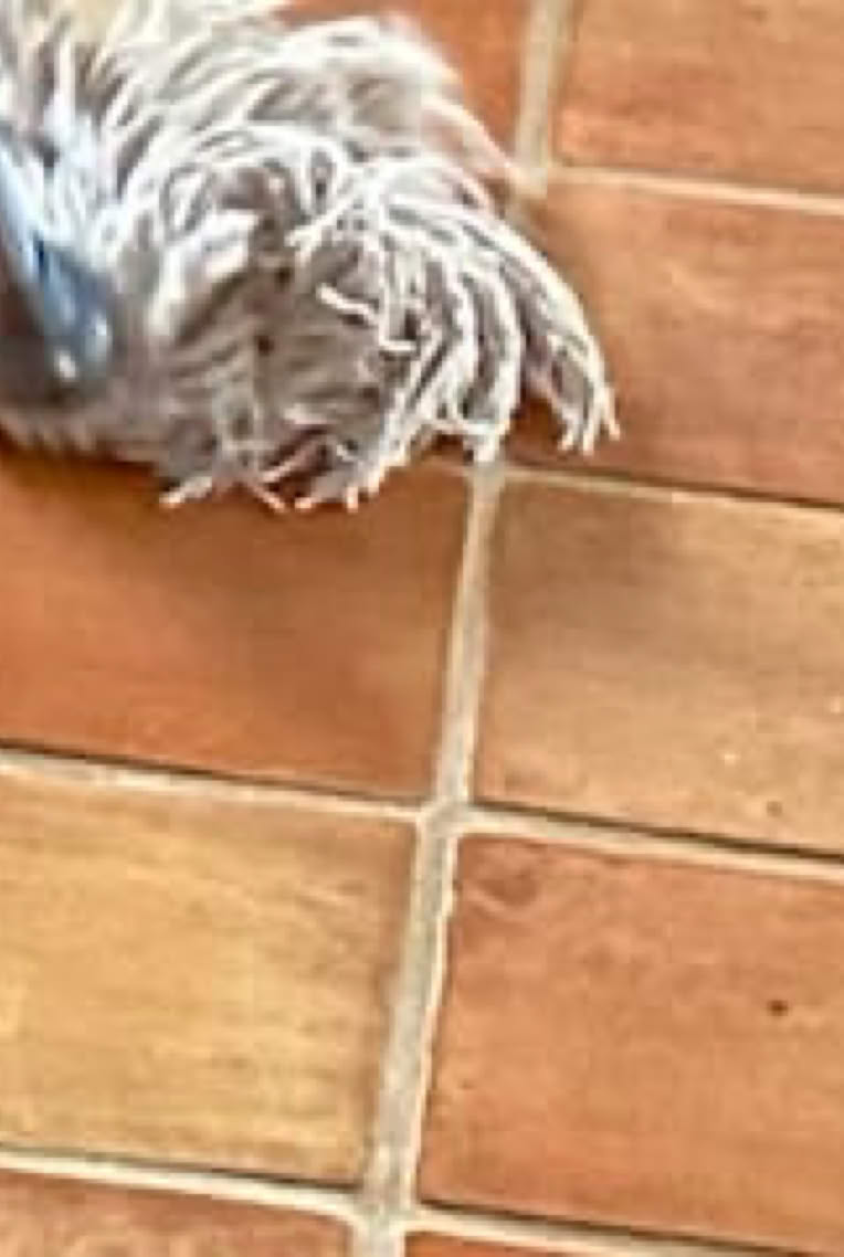 Quel le prix des tomettes anciennes au m2 ?