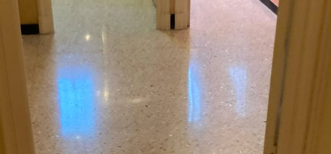 Rénovation de Terrazzo de coquillages