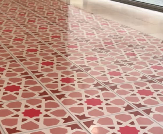 Protection des tomettes, carreaux ciment, et autres...