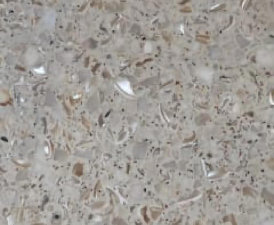 Réparation et rénovation de Terrazzo