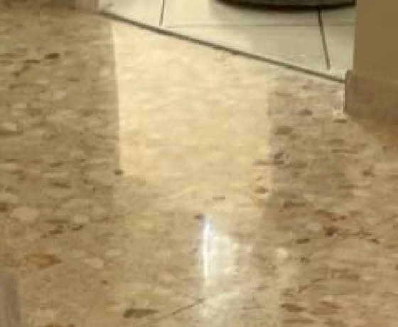 Rénovation de Terrazzo Verde Alpi