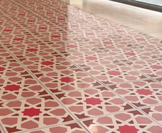 Protection des tomettes, carreaux ciment, et autres...