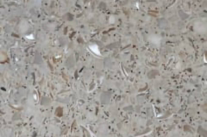 Rénovation de Terrazzo de coquillages