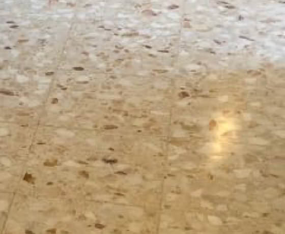 Rénovation de paillasson Granito 1954