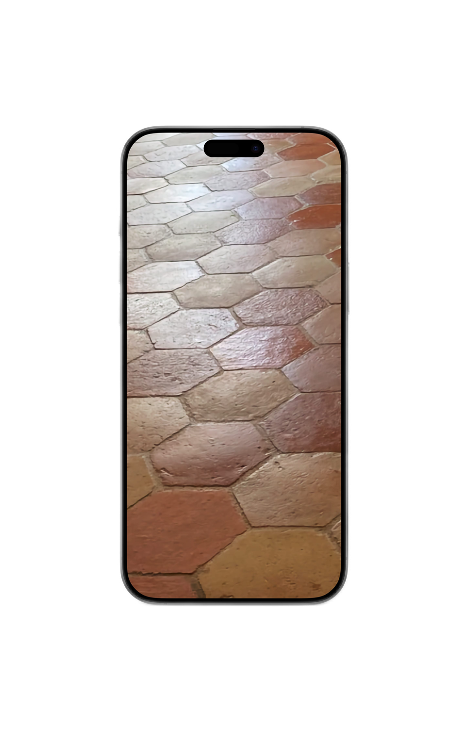 3 Astuces pour retrouver de belles tomettes