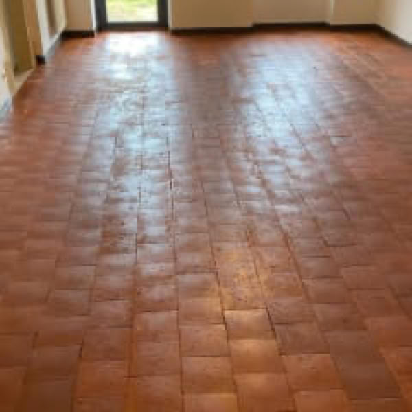 3 Astuces pour retrouver de belles tomettes