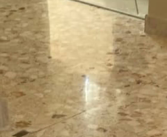 Réparation et rénovation de Terrazzo