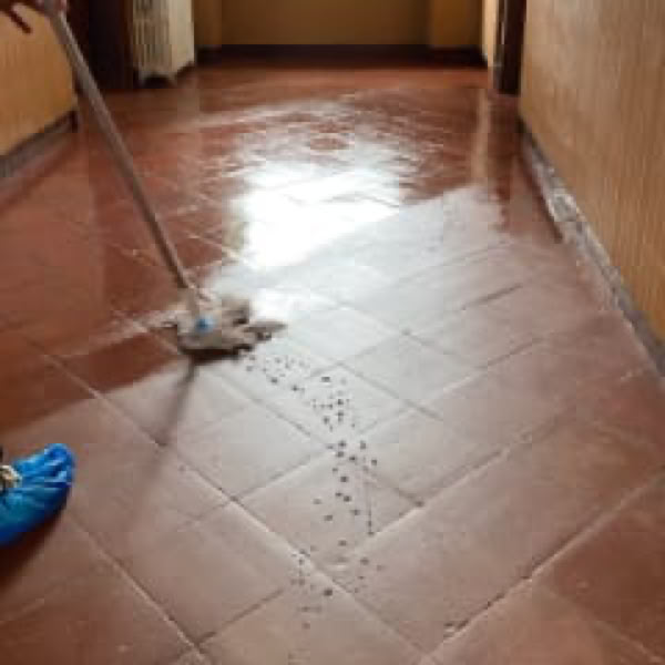 3 Astuces pour retrouver de belles tomettes