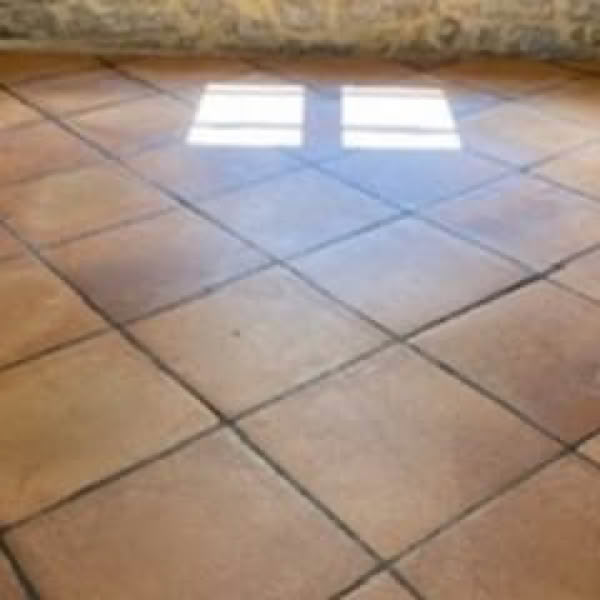 3 Astuces pour retrouver de belles tomettes